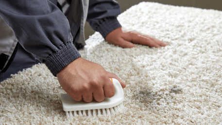 Professional Rug Cleaning Breamlea